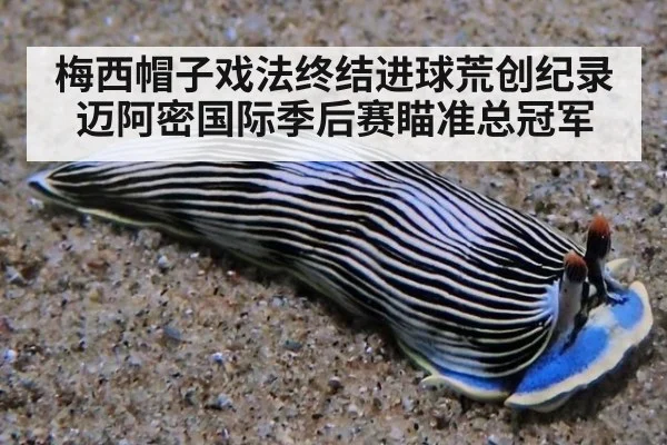 梅西帽子戏法终结进球荒创纪录 迈阿密国际季后赛瞄准总冠军