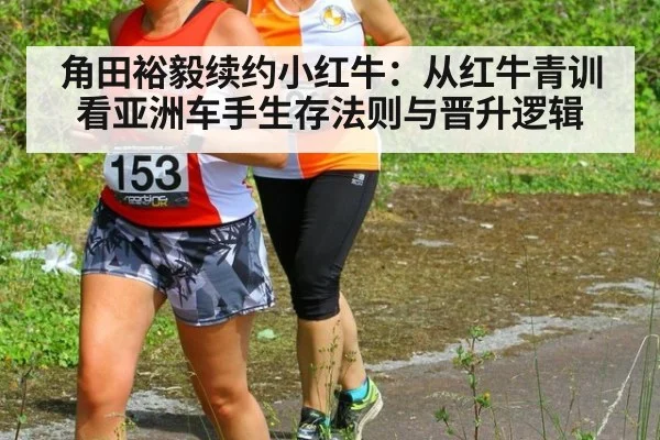 角田裕毅续约小红牛：从红牛青训看亚洲车手生存法则与晋升逻辑